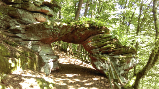 Felsenwald-Tour Juli 2018